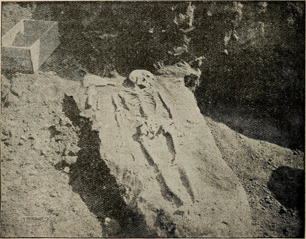 An illustration from Ohio archæological and historical quarterly, 1887, leaf 171