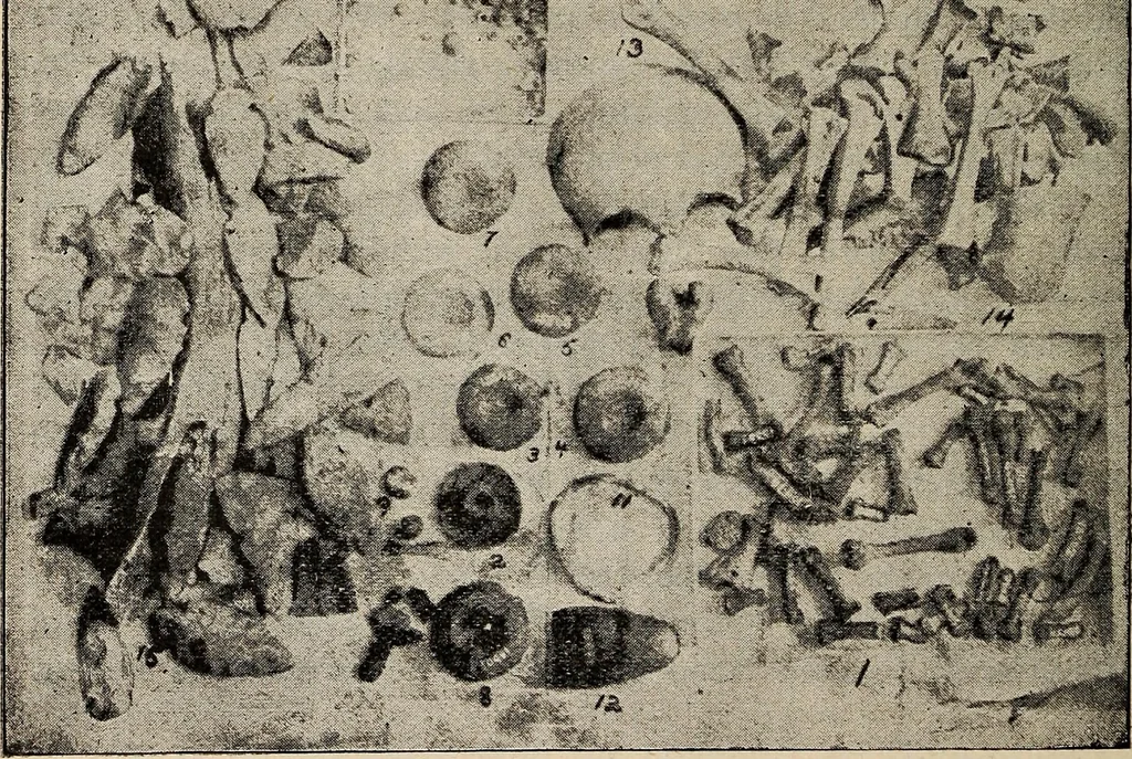 An illustration from Ohio archæological and historical quarterly, 1887, leaf 173