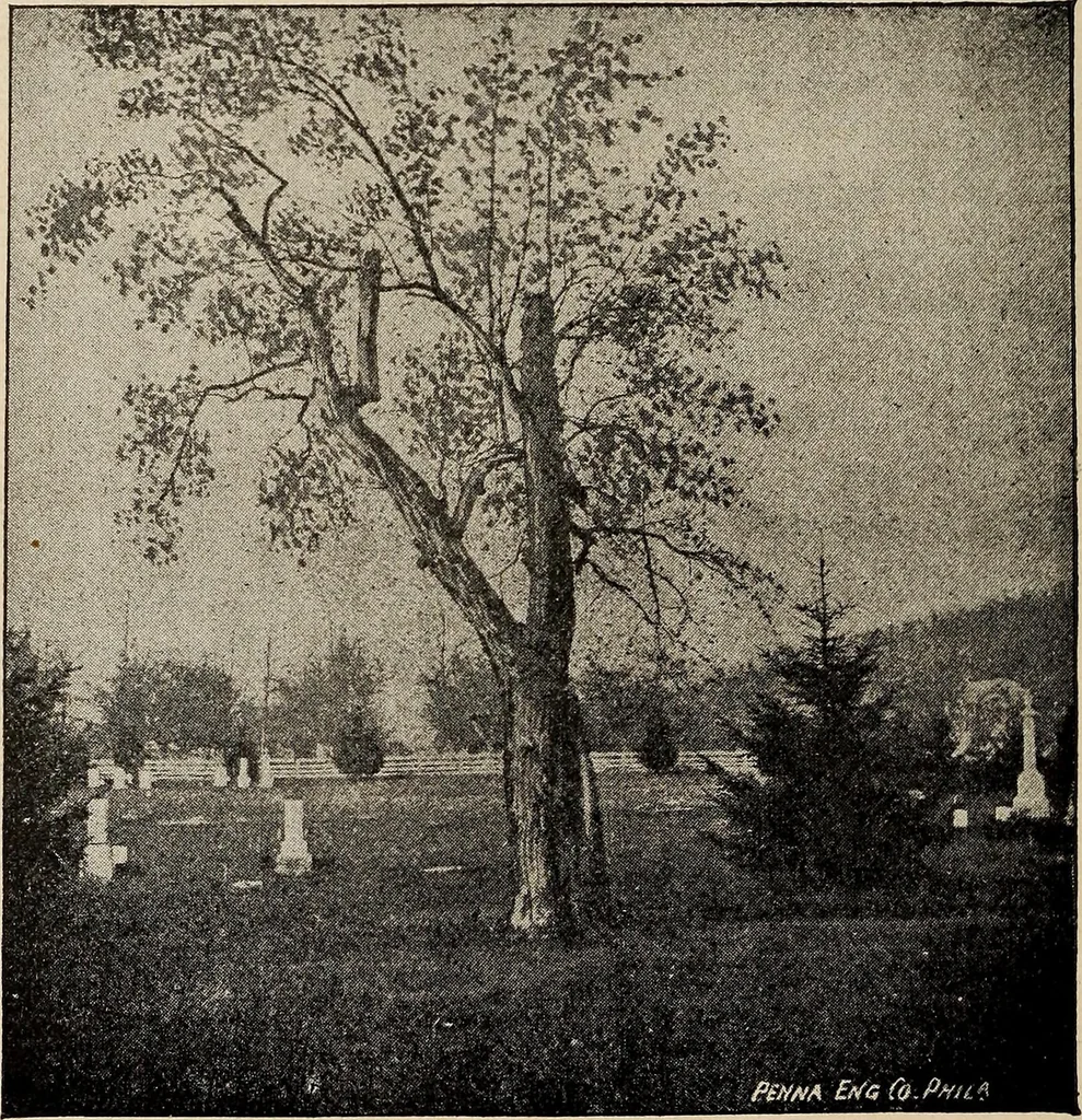 An illustration from Ohio archæological and historical quarterly, 1887, leaf 331