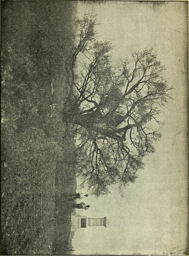 An illustration from Ohio archæological and historical quarterly, 1887, leaf 368
