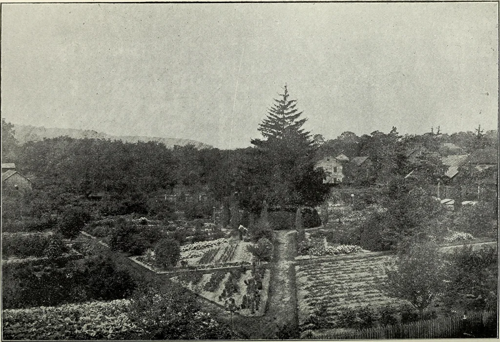 An illustration from Ohio archæological and historical quarterly, 1887, leaf 118