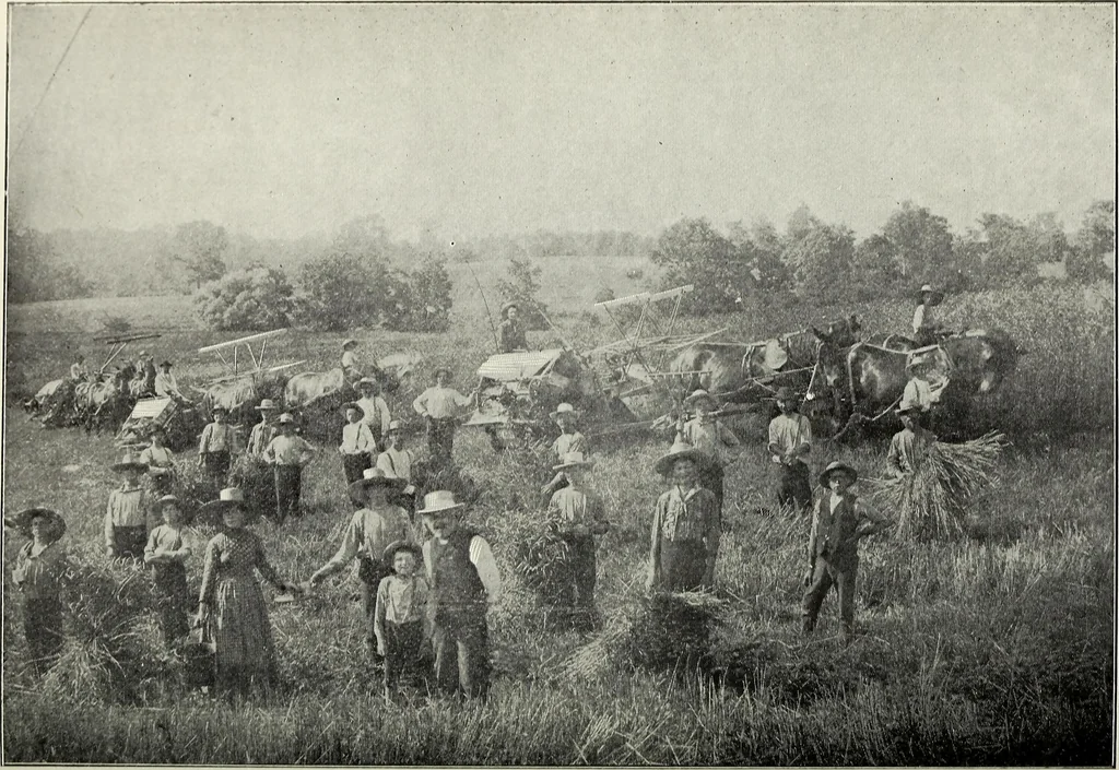 An illustration from Ohio archæological and historical quarterly, 1887, leaf 128