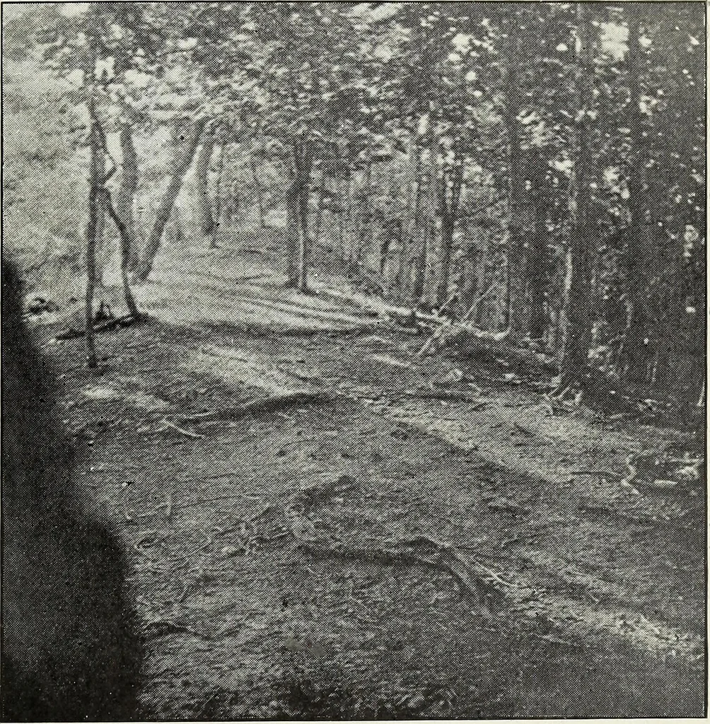 An illustration from Ohio archæological and historical quarterly, 1887, leaf 310