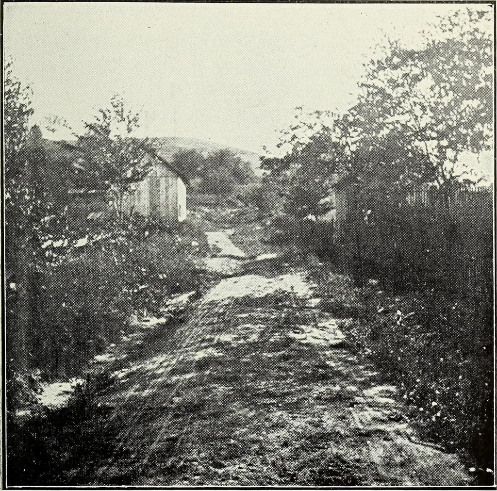 An illustration from Ohio archæological and historical quarterly, 1887, leaf 364