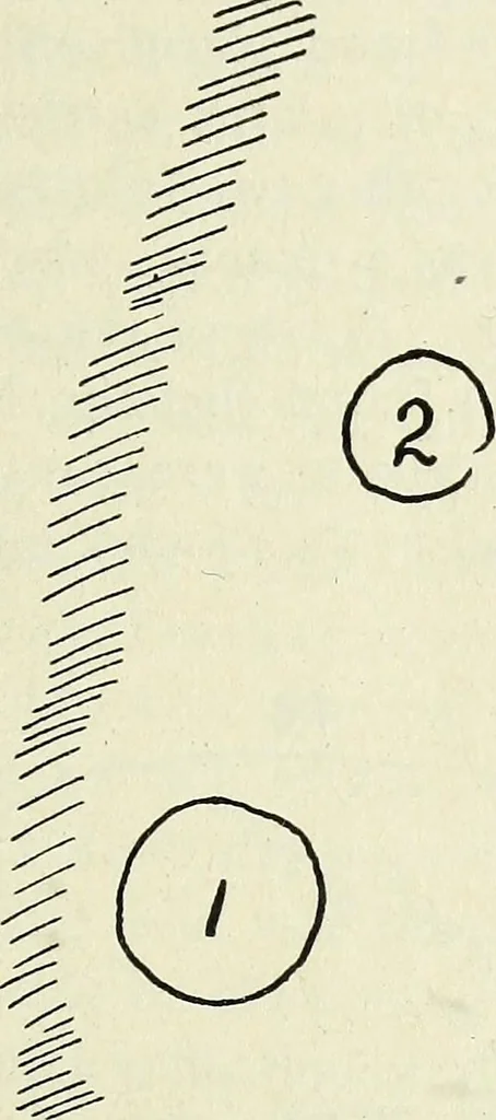 An illustration from Ohio archæological and historical quarterly, 1887, leaf 380