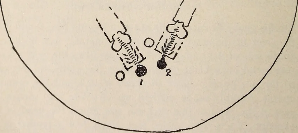 An illustration from Ohio archæological and historical quarterly, 1887, leaf 381