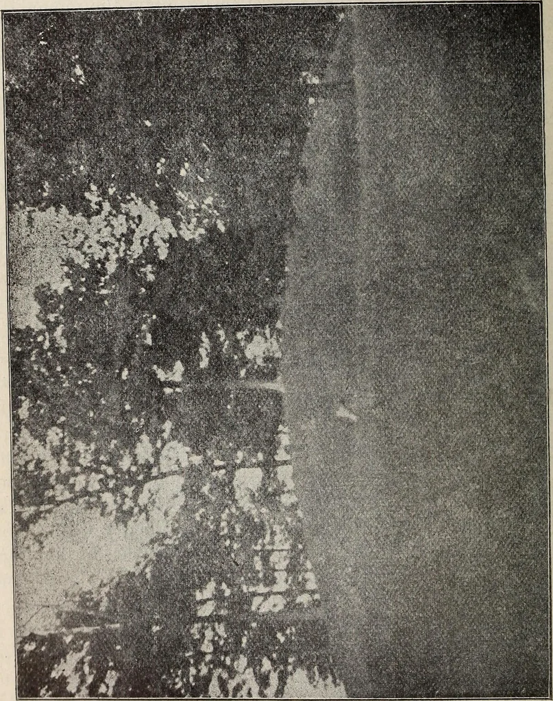 An illustration from Ohio archæological and historical quarterly, 1887, leaf 385