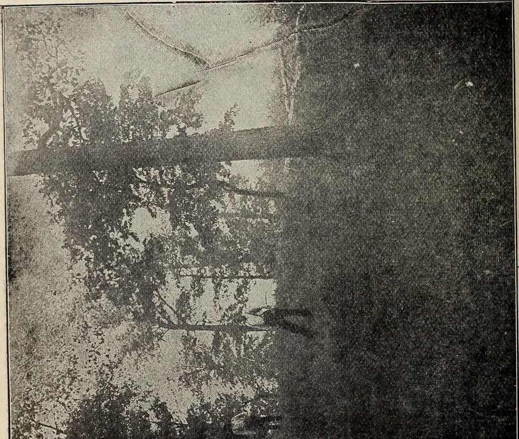 An illustration from Ohio archæological and historical quarterly, 1887, leaf 393