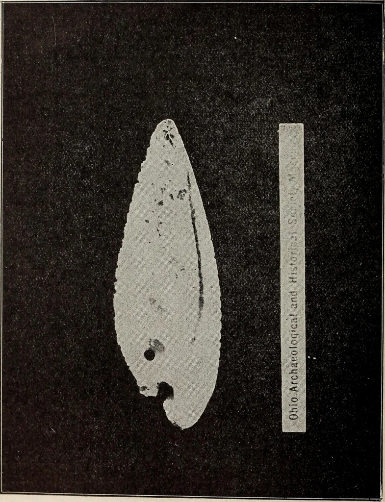 An illustration from Ohio archæological and historical quarterly, 1887, leaf 395