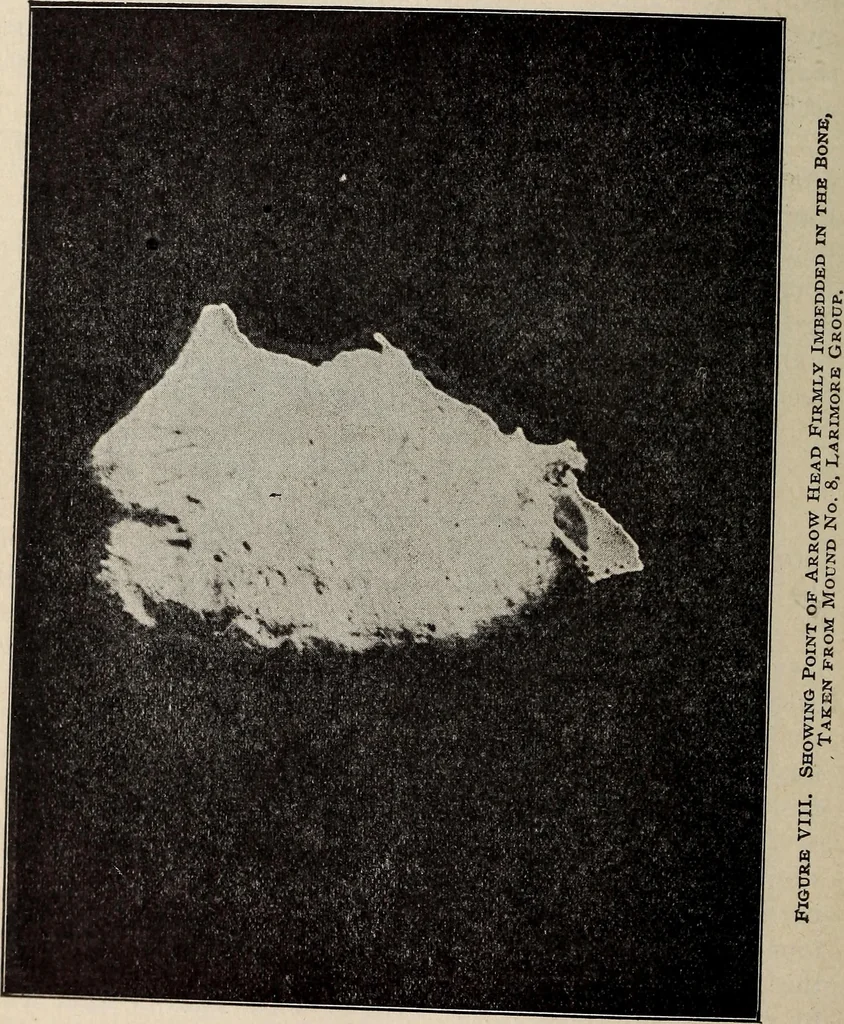 An illustration from Ohio archæological and historical quarterly, 1887, leaf 397