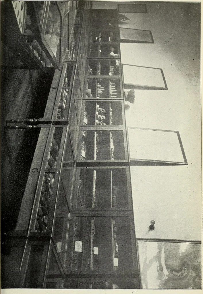 An illustration from Ohio archæological and historical quarterly, 1887, leaf 414