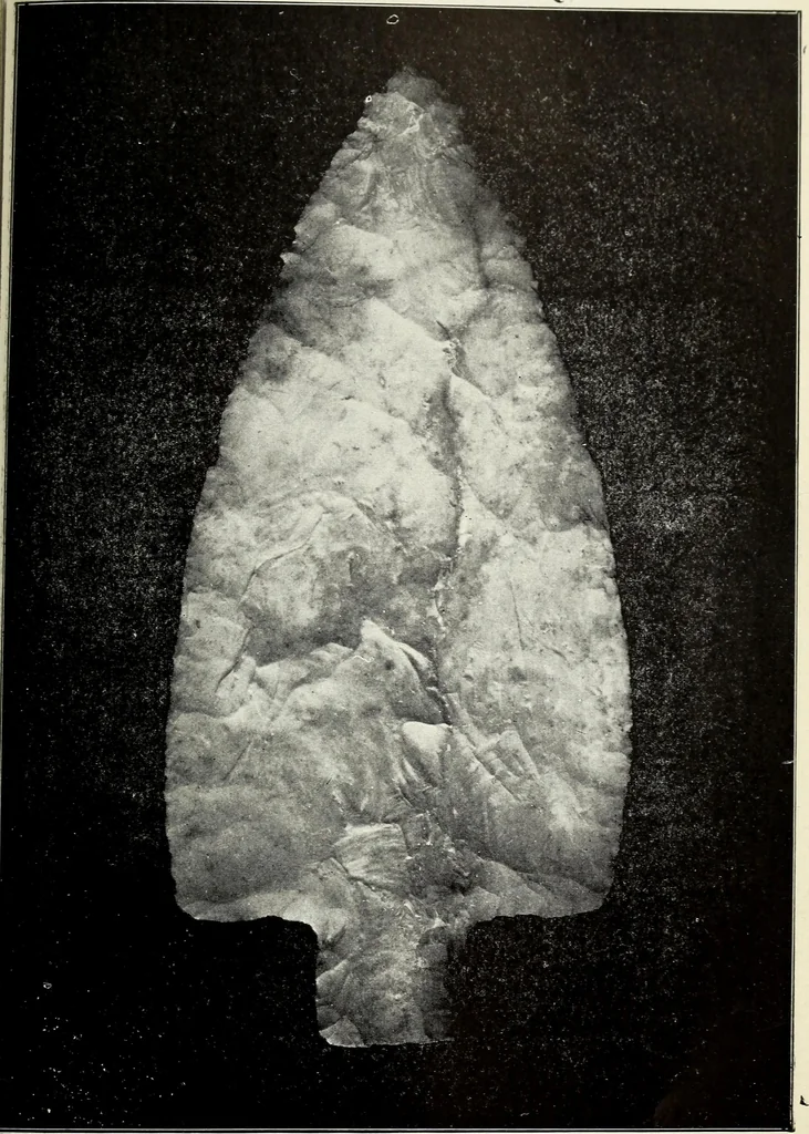 An illustration from Ohio archæological and historical quarterly, 1887, leaf 418