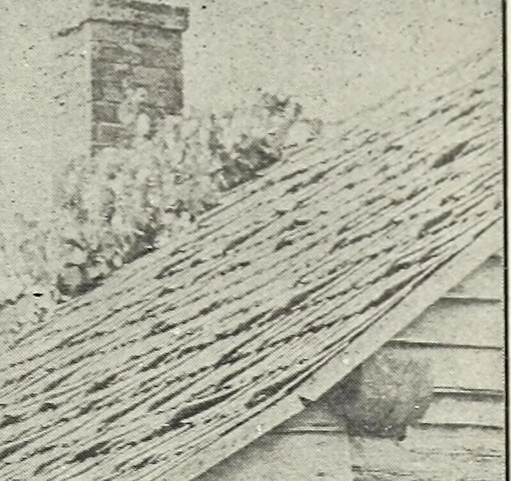 An illustration from Ohio archæological and historical quarterly, 1887, leaf 90
