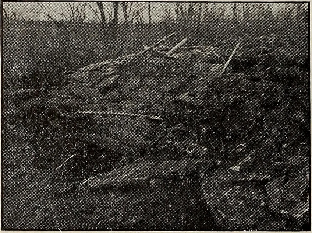 An illustration from Ohio archæological and historical quarterly, 1887, leaf 207
