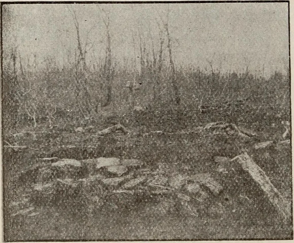 An illustration from Ohio archæological and historical quarterly, 1887, leaf 211