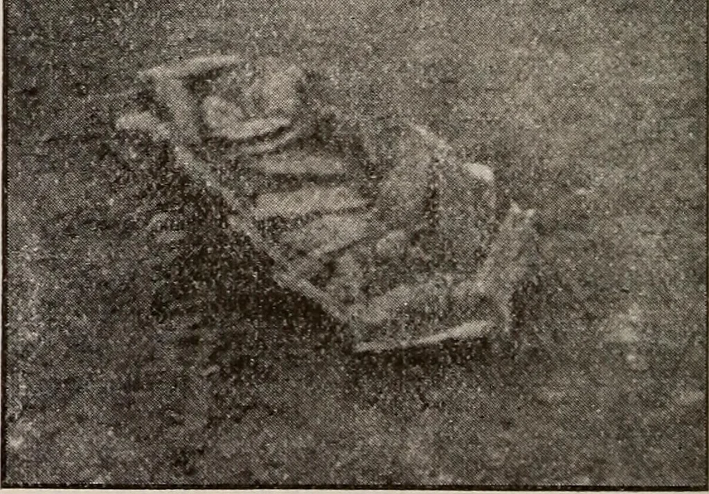 An illustration from Ohio archæological and historical quarterly, 1887, leaf 211