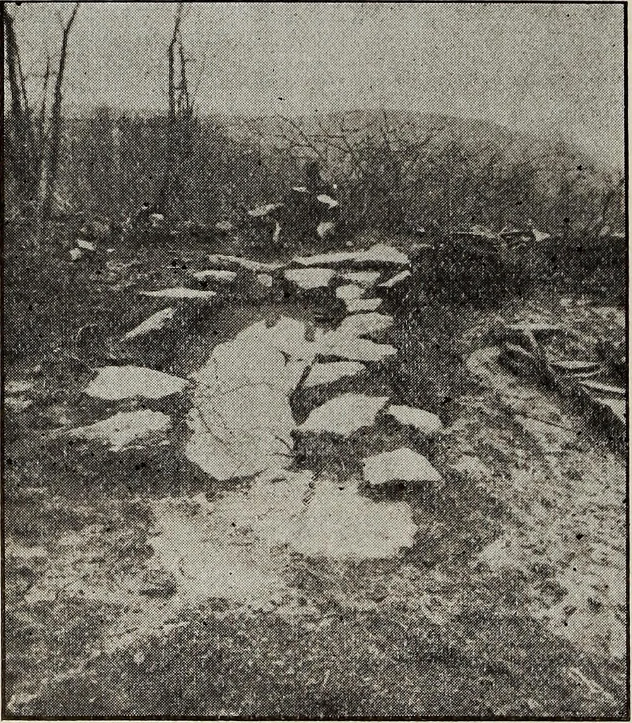 An illustration from Ohio archæological and historical quarterly, 1887, leaf 213