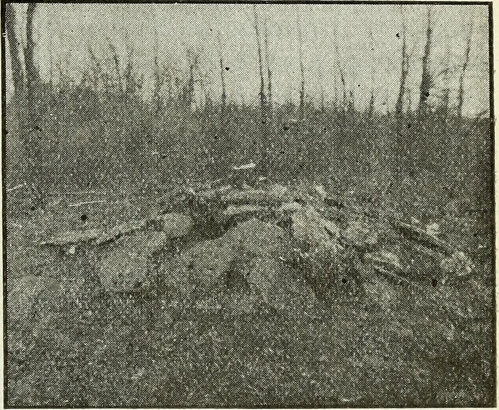 An illustration from Ohio archæological and historical quarterly, 1887, leaf 214