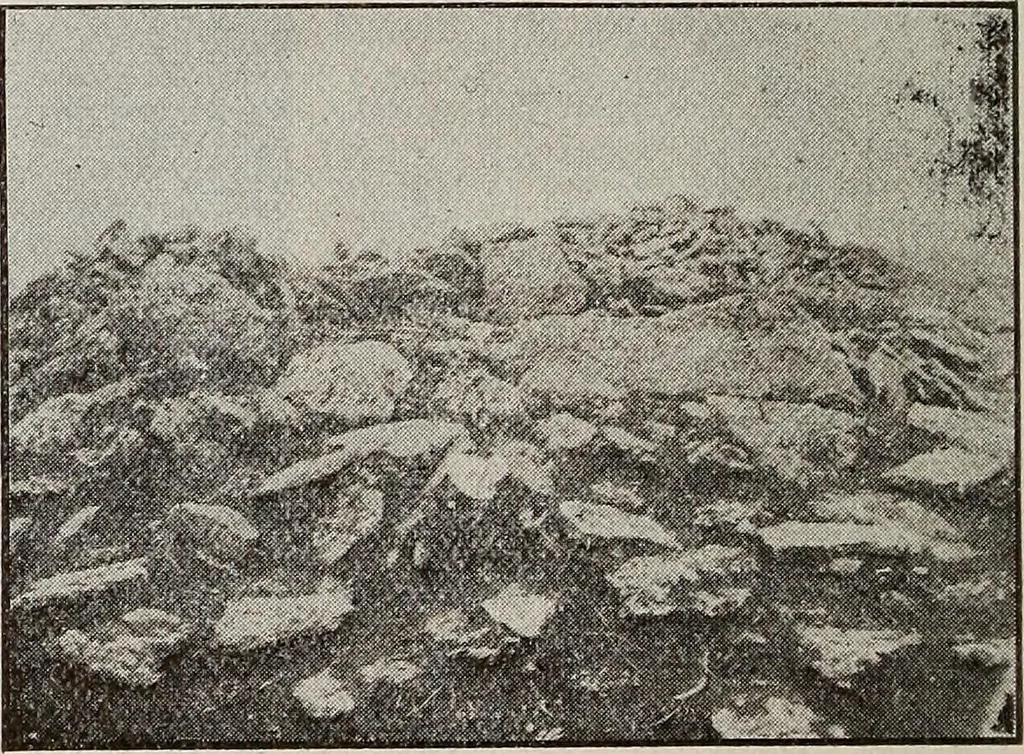 An illustration from Ohio archæological and historical quarterly, 1887, leaf 215