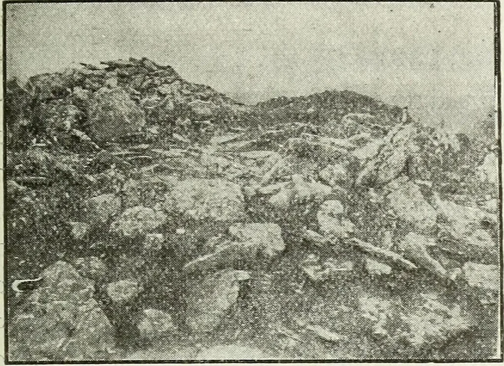 An illustration from Ohio archæological and historical quarterly, 1887, leaf 216