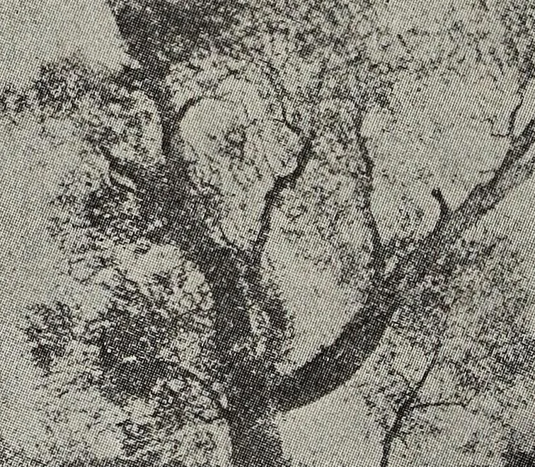 An illustration from Ohio archæological and historical quarterly, 1887, leaf 261