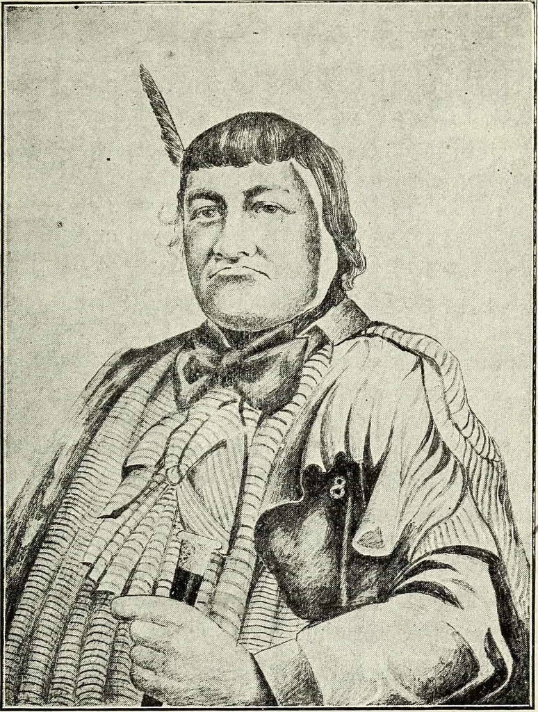 An illustration from Ohio archæological and historical quarterly, 1887, leaf 42