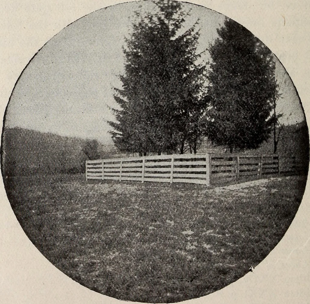 An illustration from Ohio archæological and historical quarterly, 1887, leaf 465