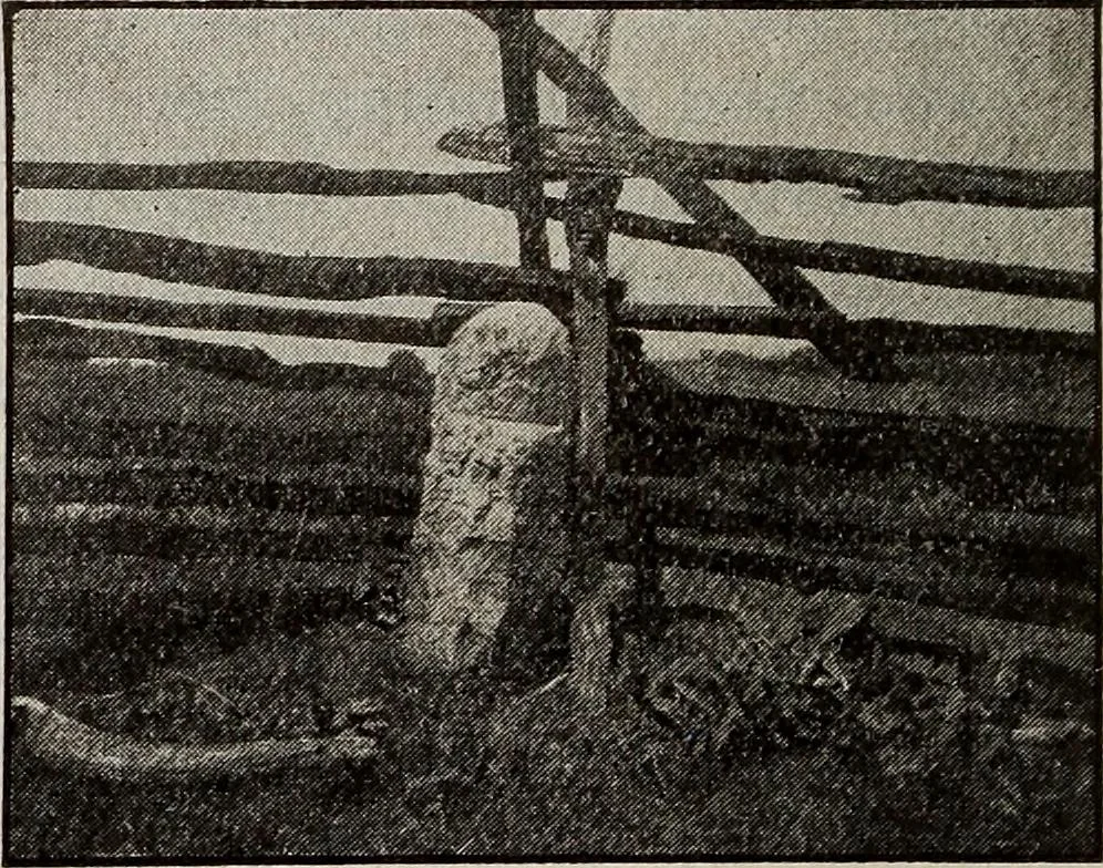 An illustration from Ohio archæological and historical quarterly, 1887, leaf 475