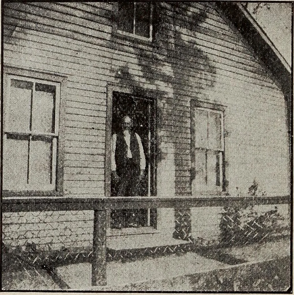 An illustration from Ohio archæological and historical quarterly, 1887, leaf 501