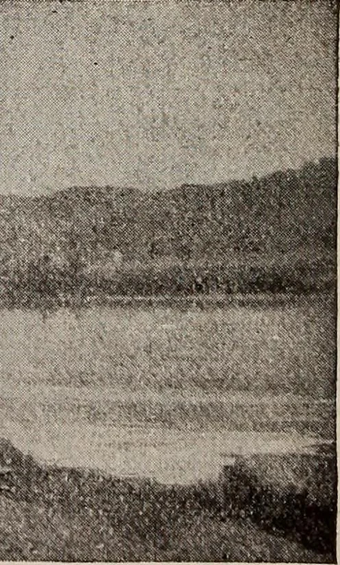 An illustration from Ohio archæological and historical quarterly, 1887, leaf 529