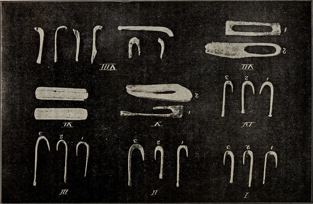 An illustration from Ohio archæological and historical quarterly, 1887, leaf 535
