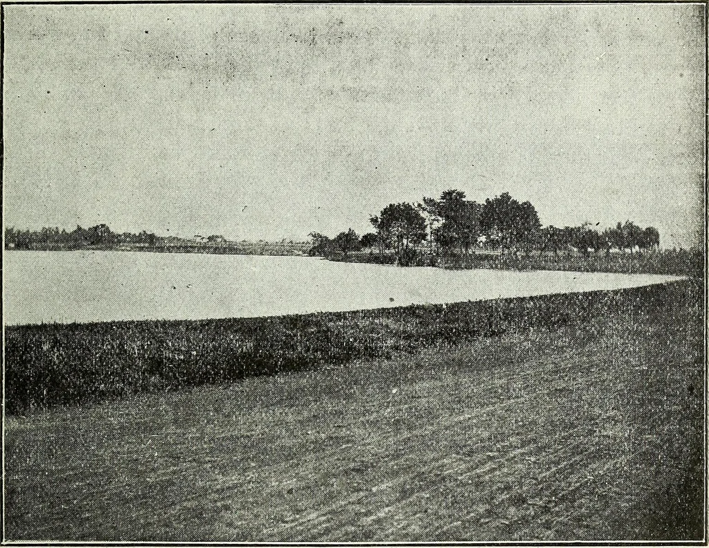 An illustration from Ohio archæological and historical quarterly, 1887, leaf 56