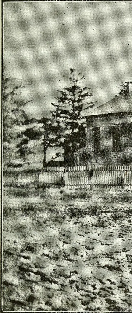 An illustration from Ohio archæological and historical quarterly, 1887, leaf 60