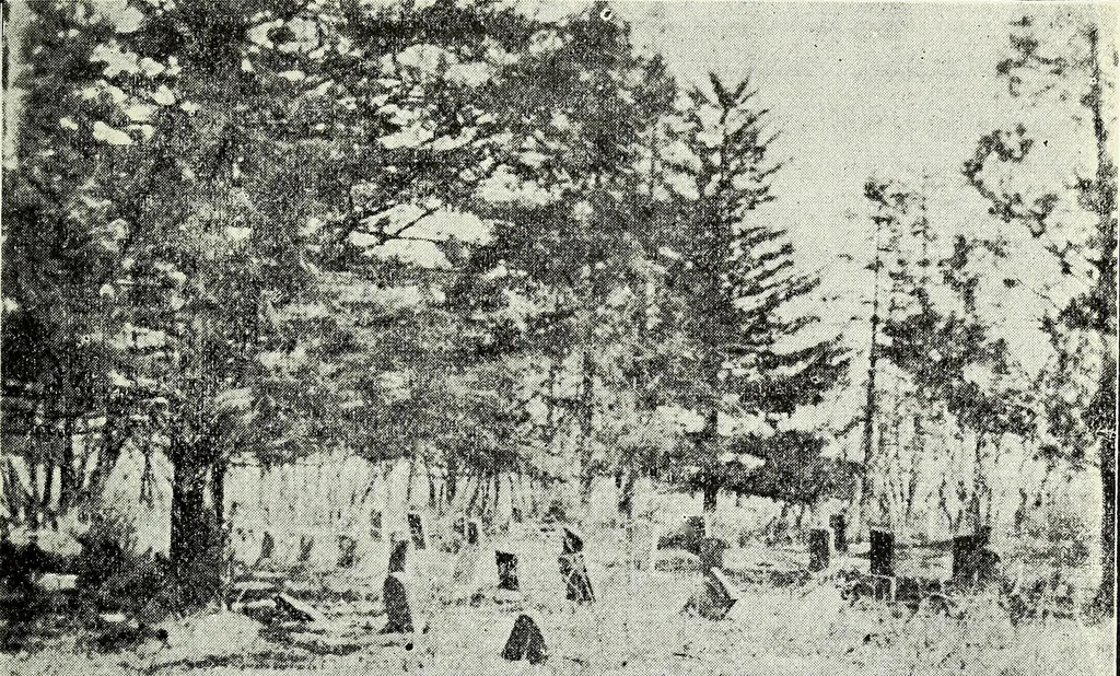 An illustration from Ohio archæological and historical quarterly, 1887, leaf 80