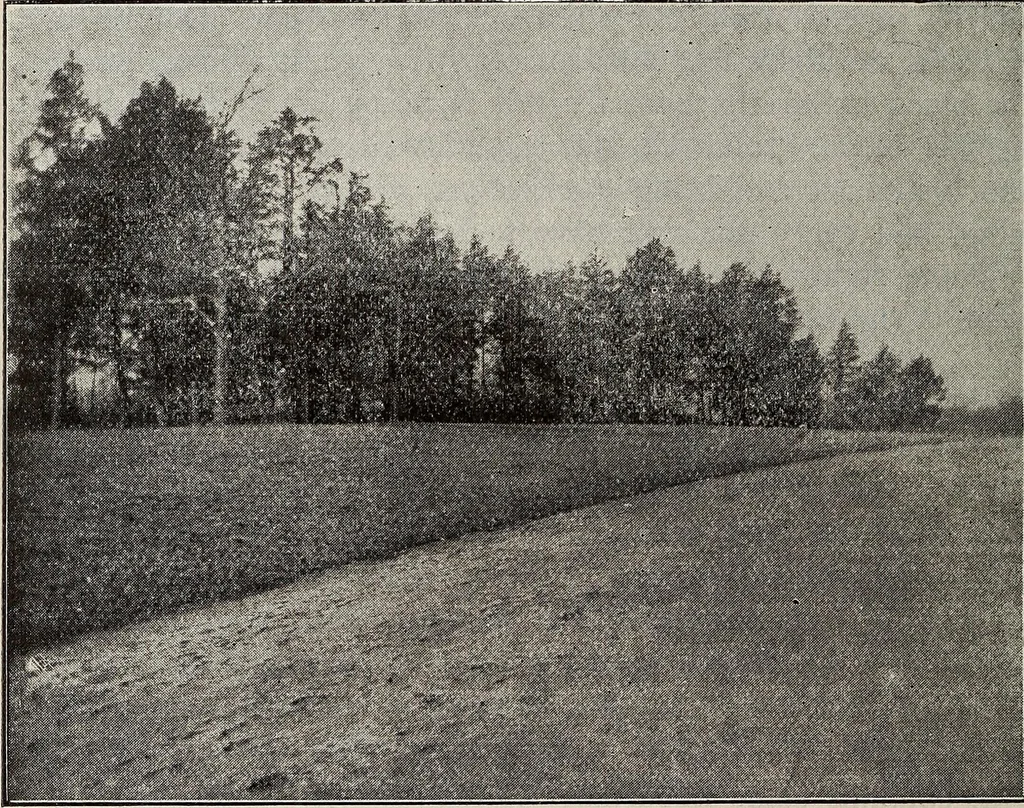 An illustration from Ohio archæological and historical quarterly, 1887, leaf 89