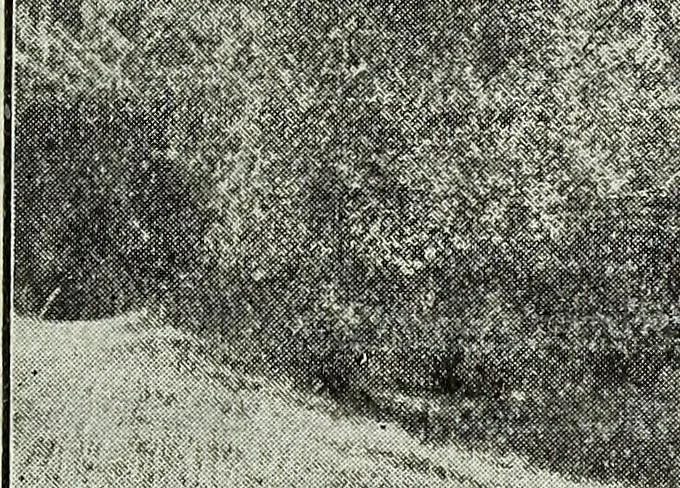 An illustration from Ohio archæological and historical quarterly, 1887, leaf 90