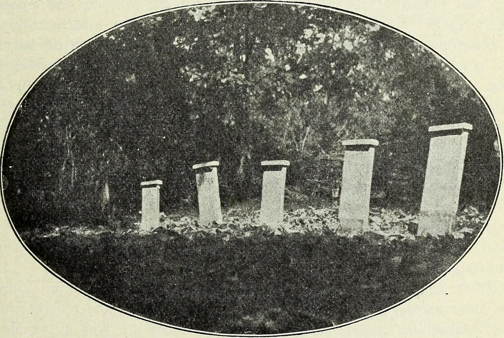 An illustration from Ohio archæological and historical quarterly, 1887, leaf 176