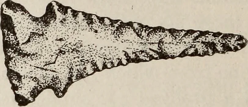 An illustration from Ohio archæological and historical quarterly, 1887, leaf 261