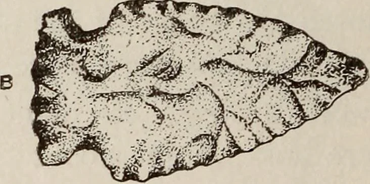 An illustration from Ohio archæological and historical quarterly, 1887, leaf 261