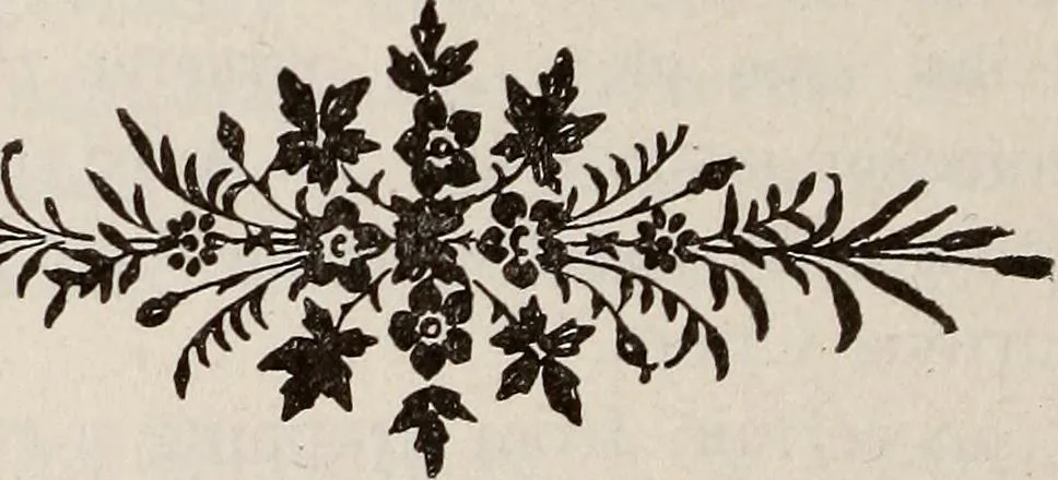 An illustration from Ohio archæological and historical quarterly, 1887, leaf 83