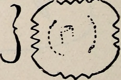 An illustration from Ohio archæological and historical quarterly, 1887, leaf 159