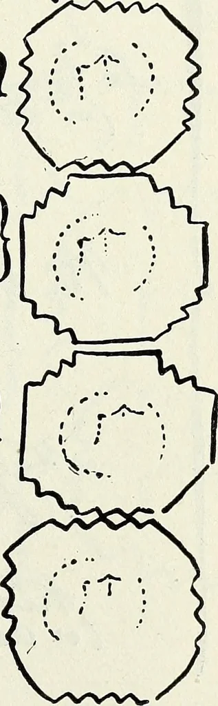 An illustration from Ohio archæological and historical quarterly, 1887, leaf 160