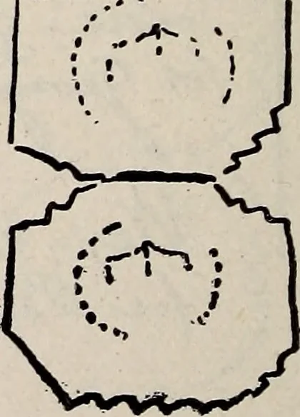 An illustration from Ohio archæological and historical quarterly, 1887, leaf 161