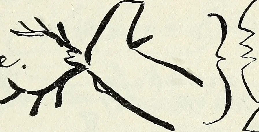 An illustration from Ohio archæological and historical quarterly, 1887, leaf 168