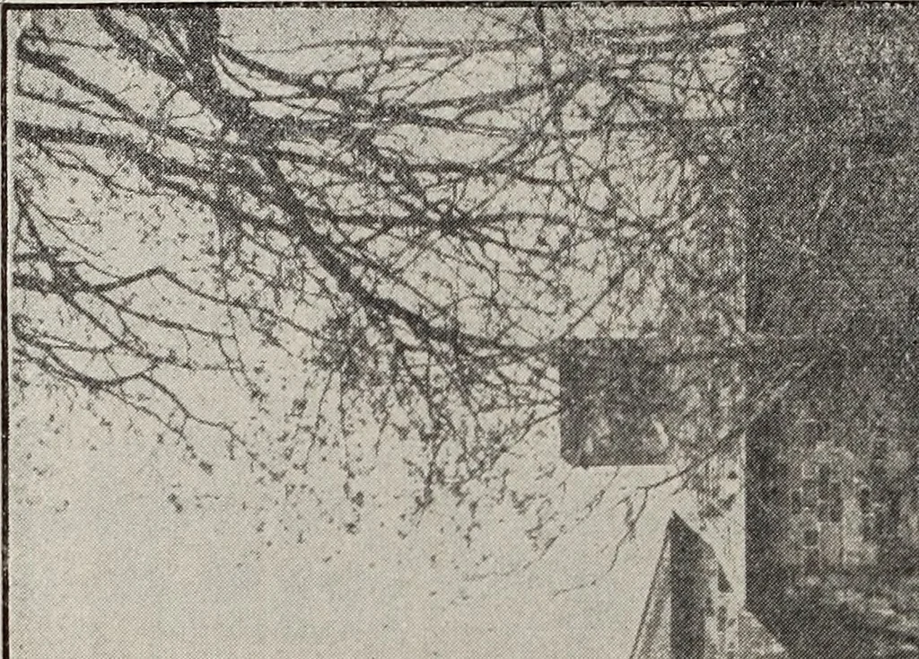 An illustration from Ohio archæological and historical quarterly, 1887, leaf 371