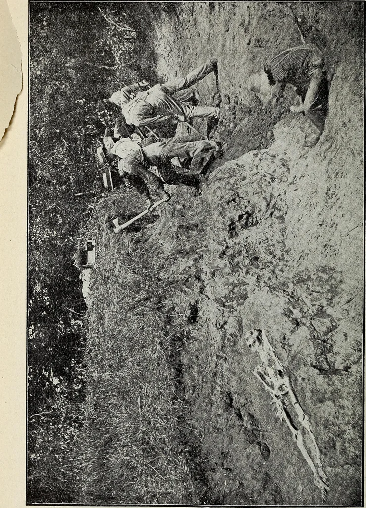 An illustration from Ohio archæological and historical quarterly, 1887, leaf 139