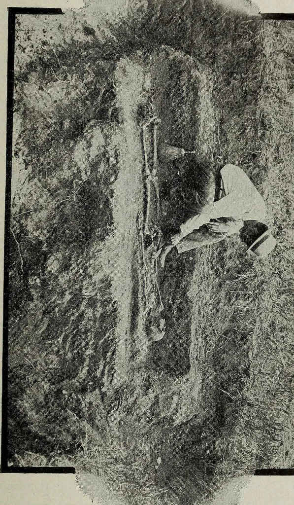 An illustration from Ohio archæological and historical quarterly, 1887, leaf 142