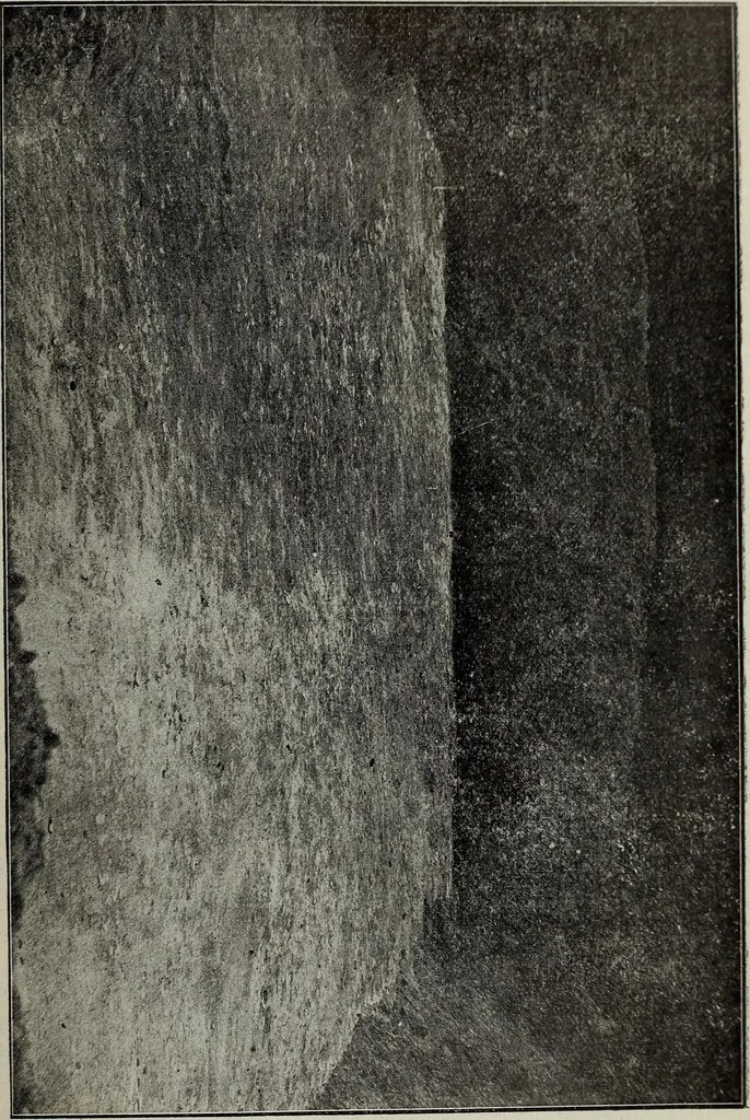 An illustration from Ohio archæological and historical quarterly, 1887, leaf 144