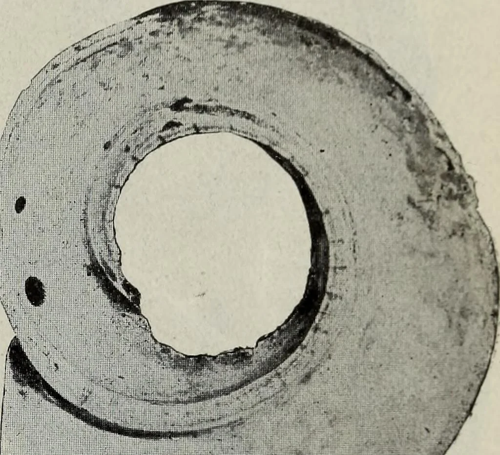 An illustration from Ohio archæological and historical quarterly, 1887, leaf 156