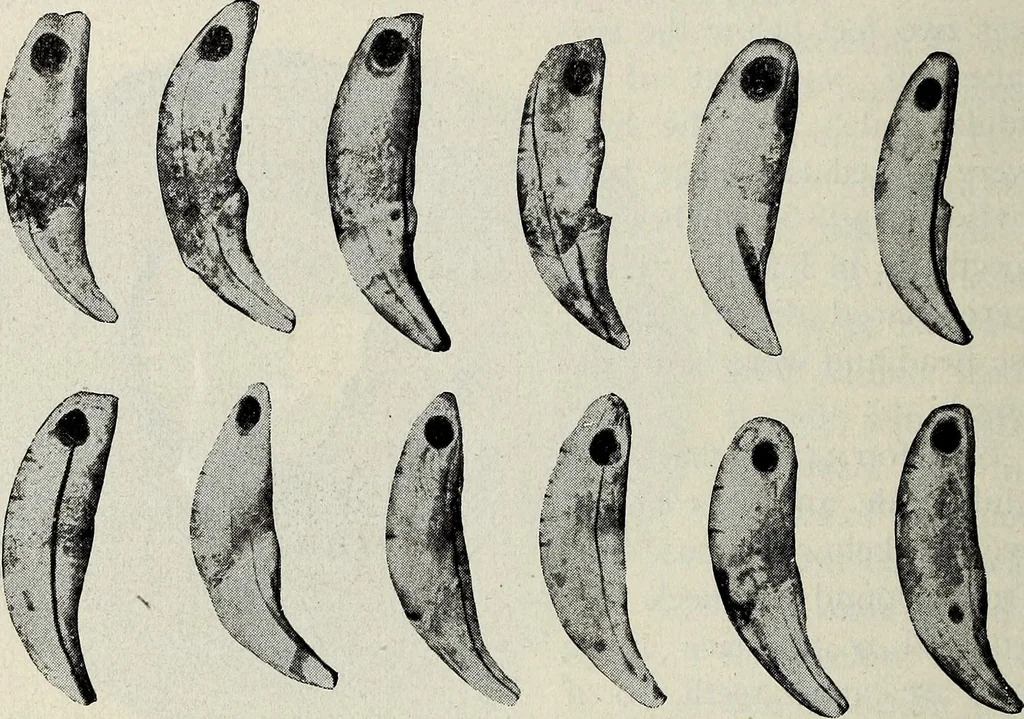 An illustration from Ohio archæological and historical quarterly, 1887, leaf 157